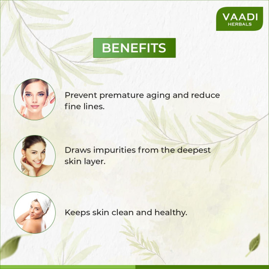 Vaadi Herbals Midnight Blueberry Shower Gel - Enriched with Blueberry Extract