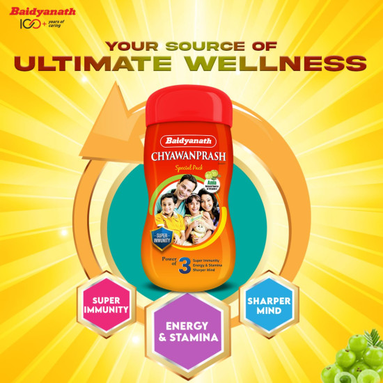 Baidyanath Chyawanprash Special - All Round Immunity and Protection - 250g