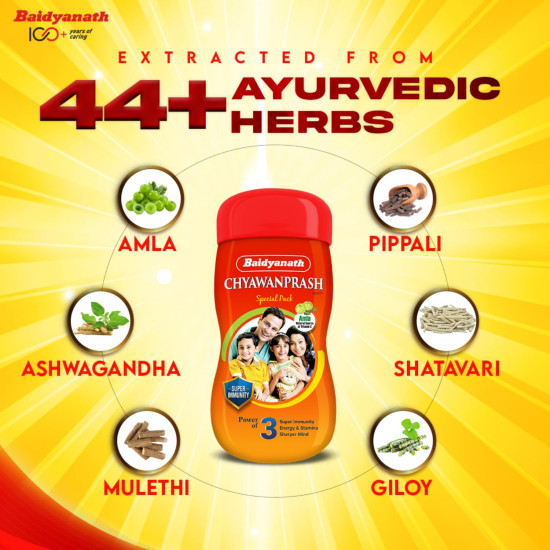Baidyanath Chyawanprash Special - All Round Immunity and Protection - 250g