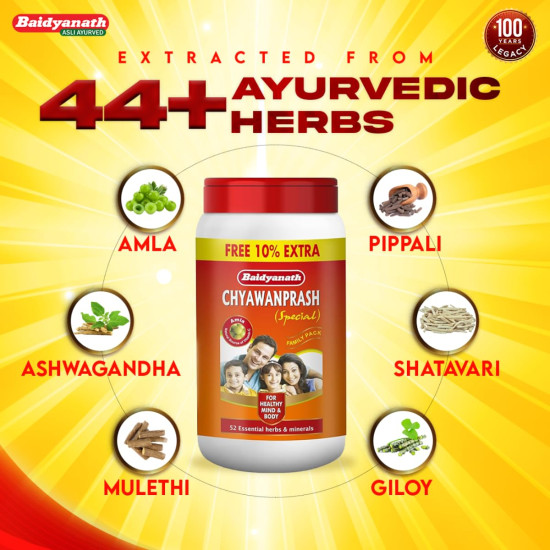 Baidyanath Chyawanprash Special -Pack of 2 kg With 10% Extra Free |Immunity Booster | Enhances Strength & Stamina | Made With 52 ingredients
