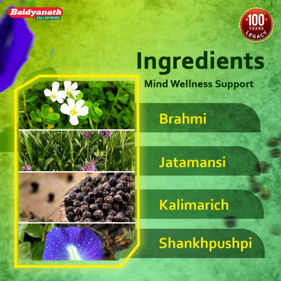 Baidyanath Brahmi Bati - Memory Booster and Helps Relieve Stress - 30 Tablets (Pack of 2)