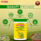 Baidyanath Panchasakar Churna - 200 g