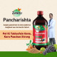 Zandu Pancharishta 450ml - Ayurvedic Tonic for Digestive Health Zandu Pancharishta 450ml - Ayurvedic Tonic for Digestive Health