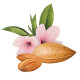 Biotique Almond Oil Soap - Nourishing and Gentle Cleansing