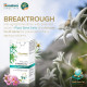 Himalaya Youth Eternity Day Cream - Anti-Aging & Moisturizing