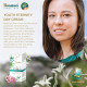 Himalaya Youth Eternity Day Cream - Anti-Aging & Moisturizing