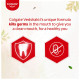 Colgate Vedshakti Toothpaste - Anti-Bacterial Paste with Neem & Honey