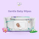 Himalaya Baby Basket Gift Pack (Violet) - Comprehensive Baby Care Combo