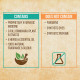 Indulekha Bringha Shampoo - Ayurvedic Medicine for Hair Fall