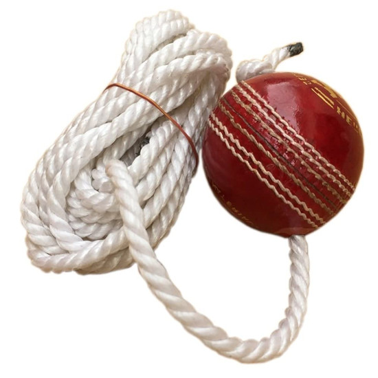 TIMA Leather Cricket Shot Practice Hanging Ball - Perfect for Batting Practice