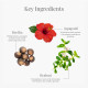 Forest Essentials Travel Size Hair Cleanser Japapatti & Brahmi - Deep Nourishing Natural Shampoo