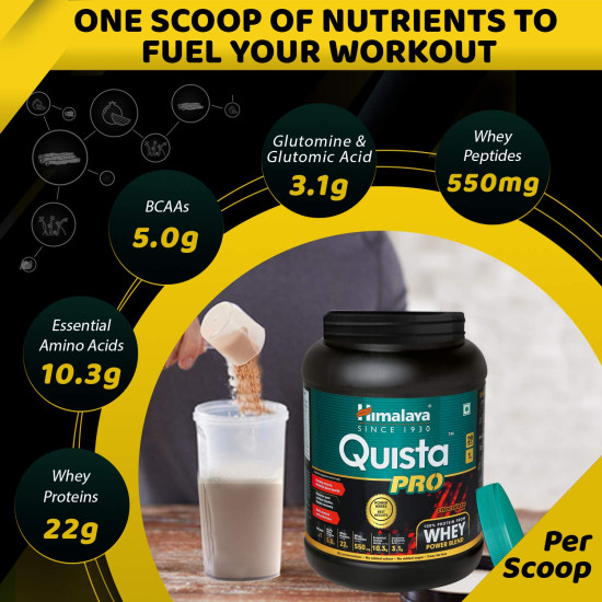 Himalaya Quista Pro Supplement, 1kg (Chocolate) - 3 Whey Protein Blend Himalaya Quista Pro Supplement, 1kg (Chocolate) - 3 Whey Protein Blend