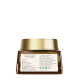Forest Essentials Advanced Eternal Youth Formula Date & Litchi - Anti-Aging Night Cream