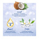 Parachute Advansed Jasmine Coconut Hair Oil - Nourishing & Non-Sticky
