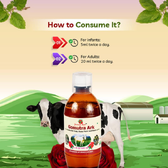 Axiom Gomutra Ark (Desi cow urine) | Natural Detoxifier| Immunity Booster | Helpful in Manage Liver and Skin Problems | No Added Sugar| No Artificial colour And Flavour -1000ml (Pack of 2)
