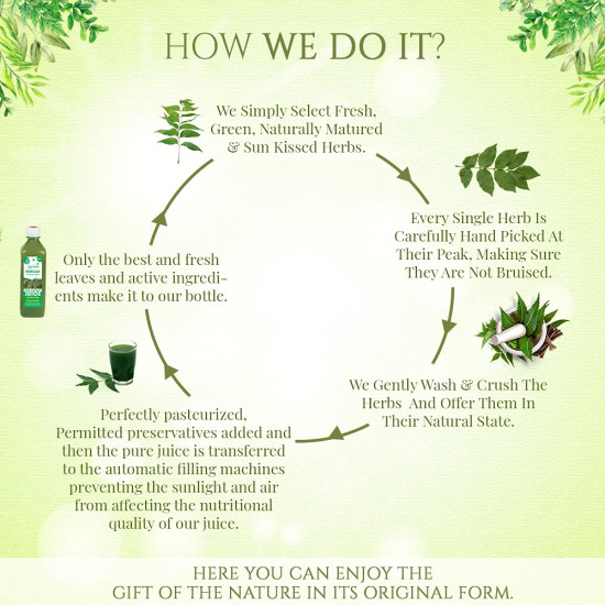 Jeevan Ras Neem Leaf Juice | Natural Blood Purifier Ayurvedic Juice | Helpful in Skin Problems | Infused with Natural Neem Leaf Herbs | Boosts Immunity - 500ML