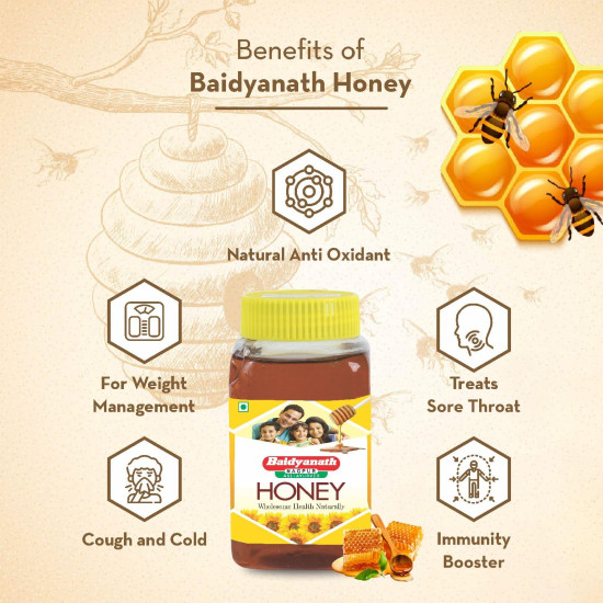 Baidyanath Honey | Natural Immunity Booster | No Added Sugar - Semiliquid, 500G