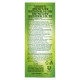 Lipton Honey Lemon Green Tea, 100g - Refreshing & Healthy