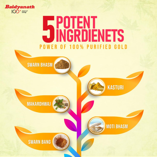 Baidyanath Siddha Makardhwaj Special - 10 Tablets