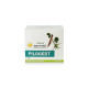 KERALA Ayurveda Pilogest - Effective Herbal Relief for Swollen Veins