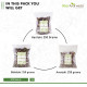 Attar Ayurveda Triphala Raw (1:1:1) - 750 grams, Raw, Whole - Harad, Baheda, Amla