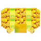 Vaadi Herbals Refreshing Lemon and Basil Soap - Natural Detox