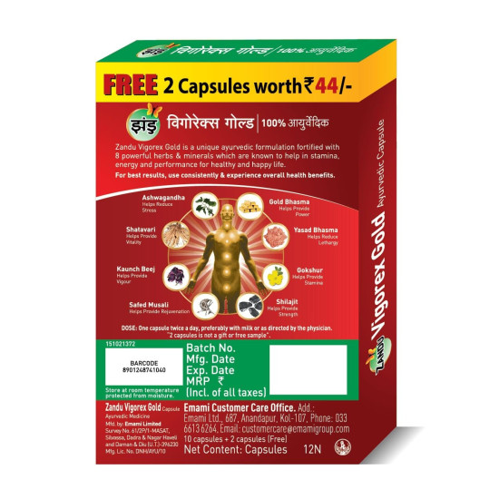 Zandu Vigorex Gold Ayurvedic Daily Energizer - Boost Energy and Vitality