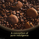 Sunfeast Dark Fantasy Choco Fills - Original Filled Cookies with Choco Crème