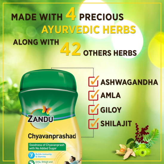 Zandu Chyawanprashad Sugar Free (No ) Chyawanprash-900G|Clinically Tested Suitable Diabetic|Made 46 Ayurvedic Herbs Like Amla,Ashwagandha,Shilajit|Improves Respiratory & Digestive Health,2X Immunity