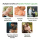 Kerala Ayurveda Gandha Thailam Capsule - For Strong and Healthy Joints