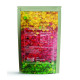 Minimal Tutti Frutti Cherries - Perfect for Cake Decoration