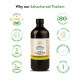 Kerala Ayurveda Sahacharadi Thailam 450 ml - Ayurvedic Back Pain Relief Oil