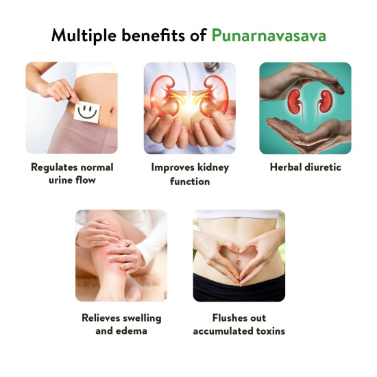 Kerala Ayurveda Punarnavasava 450ml | Ayurvedic Tonic for Urinary Health