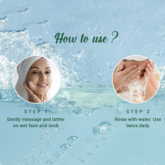 Biotique Fresh Neem Pimple Control Face Wash - Ayurvedic & Organically Pure