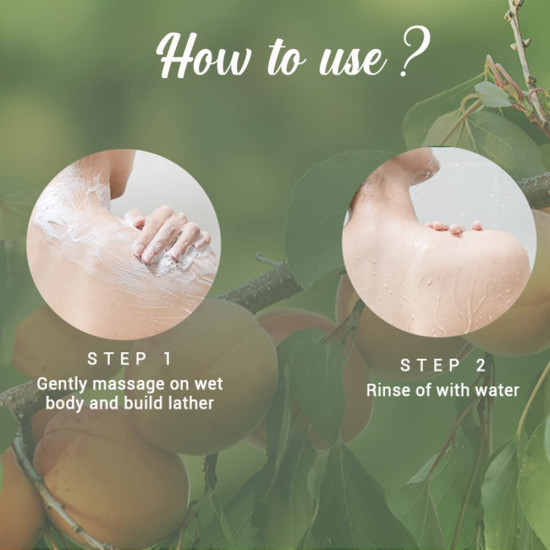 Biotique Bio Apricot Refreshing Body Wash - Keeps Skin Fresh and Clean
