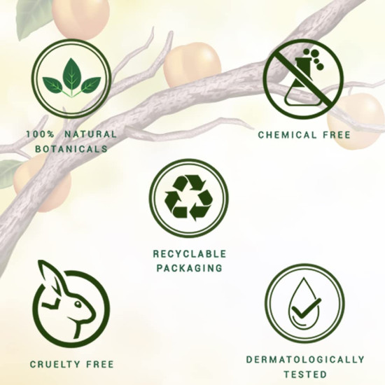 Biotique Bio Apricot Refreshing Body Wash - Keeps Skin Fresh and Clean