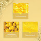 Lakme Blush & Glow Lemon Freshness Gel Face Wash - Lemon Extracts