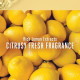 Lakme Blush & Glow Lemon Freshness Gel Face Wash - Lemon Extracts