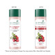 Biotique Winter Cherry Rejuvenating Body Lotion - Intense Hydration & Anti-Ageing