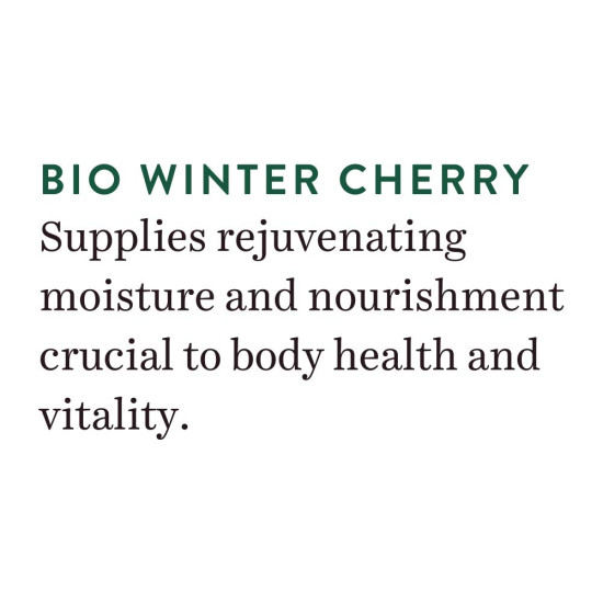Biotique Winter Cherry Rejuvenating Body Lotion - Intense Hydration & Anti-Ageing