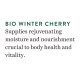 Biotique Winter Cherry Rejuvenating Body Lotion - Intense Hydration & Anti-Ageing
