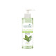 Biotique Basil & Parsley Revitalizing Body Wash - 100% Botanical Extracts