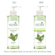 Biotique Basil & Parsley Revitalizing Body Wash - 100% Botanical Extracts