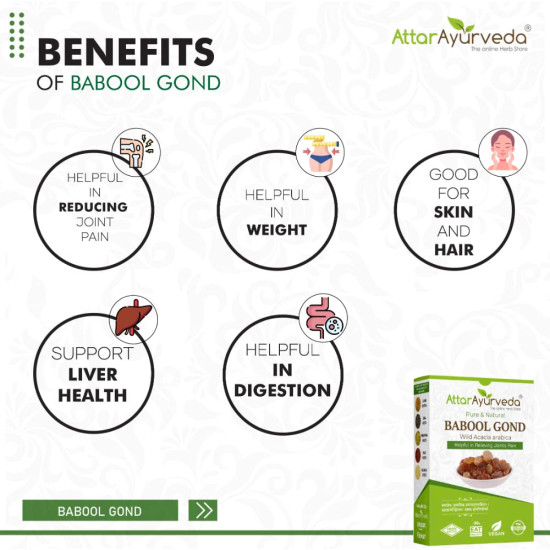 Attar Ayurveda Babul Gond Gum - Kikar Gond - Babool Gond - Acacia arabica Willd (250 Grams)
