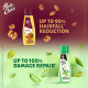 Hair & Care Dry Fruit Oil with Walnuts, Almonds & Vitamin E - Reduce Hairfall & Strengthen Hair
