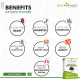 Attar Ayurveda Kutki Powder 100 gm - Liver Support & Detox
