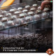 Fabelle Tiramisu Luxury Milk Chocolate Bar - Filled with Coffee Mousse & Mascarpone Cheese