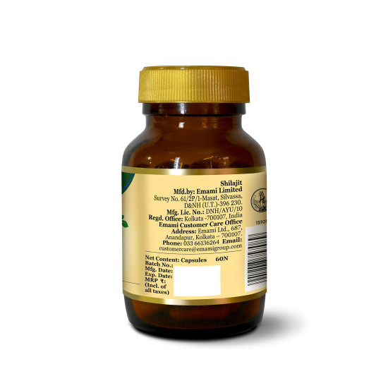 Zandu Shilajit Capsules (60 Caps) Infused with Goodness of Natural Shilajit Extracts for Enhanced Energy & Strength in Men, Manages Stress, Immunity Booster