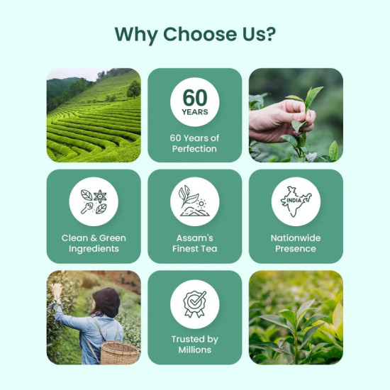 APSARA Detoxifying Kahwa Green Tea - 36 Tea Bags, Spiced Kashmiri Desi Kahwa Green Tea, Immunity Booster, Blended with Rock Salt, Tulsi, Cardamom, Cinnamon, Black Pepper, Ashwagandha Tea