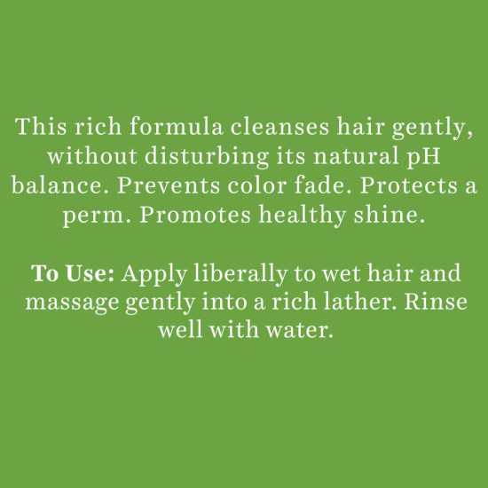 Biotique Bio Soya Protein Fresh Nourishing Shampoo - Repairs Dry and Damaged Hair